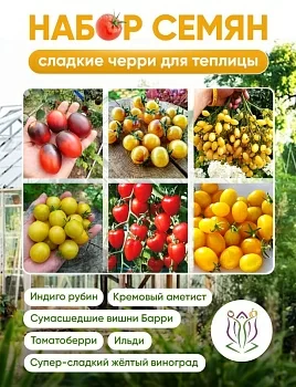 Набор семян "Сладкие черри для теплицы 3"