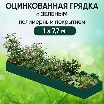 Грядка зеленая (1 х 7,7)