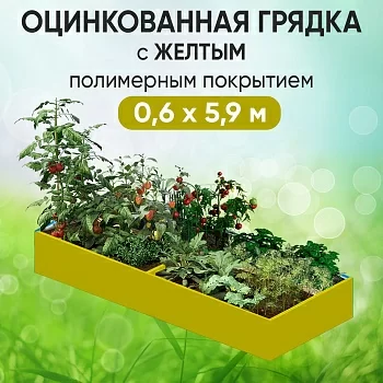 Грядка желтая (0,6 х 5,9)