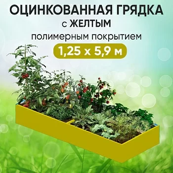 Грядка желтая (1,25 х 5,9)