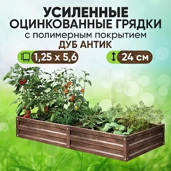 Усиленная грядка Дуб Антик (1,25 х 5,6)
